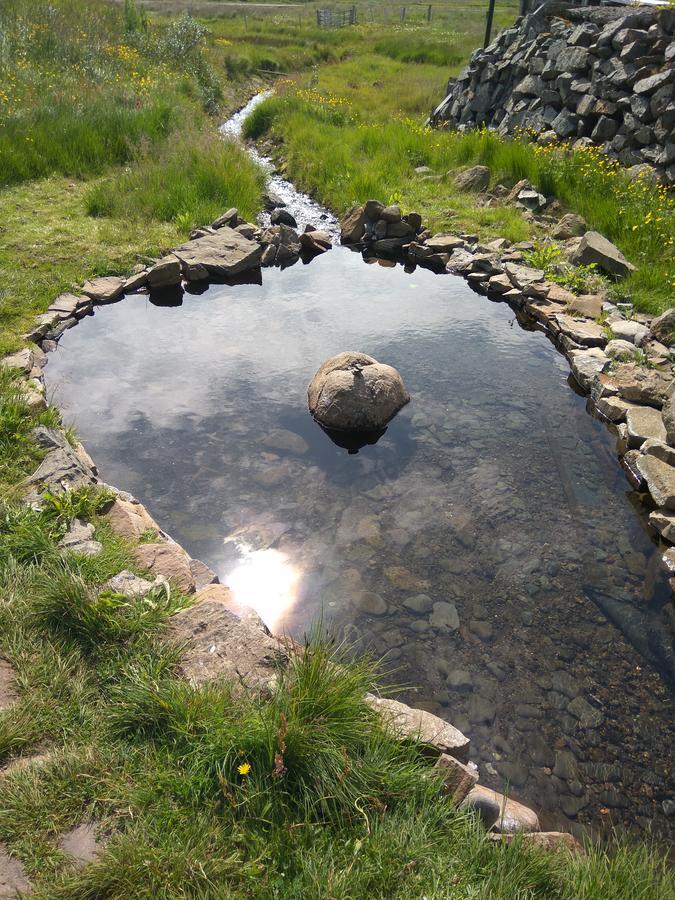 Hotel Laugarholl With Natural Hot Spring Holmavík Εξωτερικό φωτογραφία